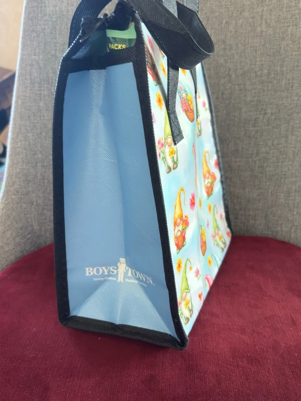 Never Use Thermo Isolated Lunch Bag-11”x9”